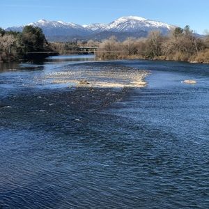 Meet your Posher, Amadeo